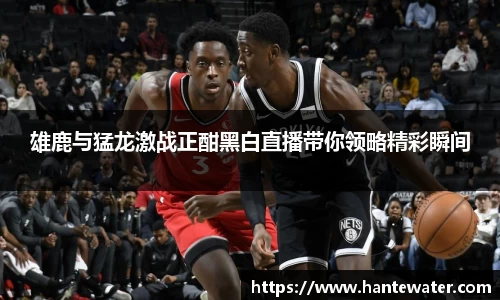 zoty中欧雄鹿与猛龙激战正酣黑白直播带你领略精彩瞬间