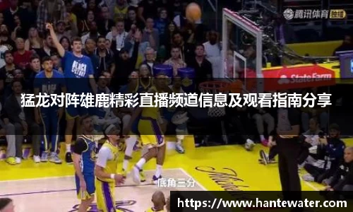 zoty中欧猛龙对阵雄鹿精彩直播频道信息及观看指南分享